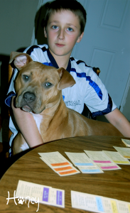 playing monopoly 2009