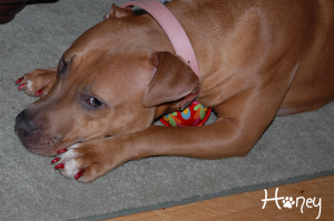 painted nails xmas2009